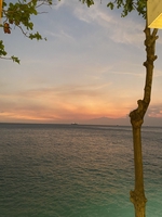 Gia Bảo Hồ Trần