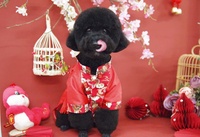 Trần Quốc