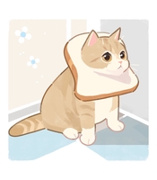 Đinh Viết Hoàng Phát