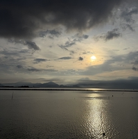 Phương Phương