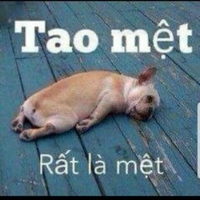 Thuy Le Hp