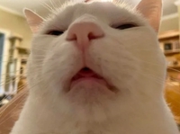 Phạm Đình Hưng