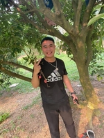 Phạm hữu Lực
