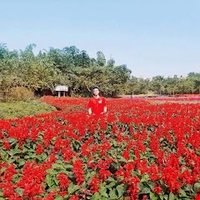 Thanh Lâm Hoàng