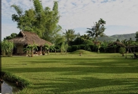 anh nông dân chất phác