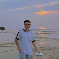 Việt Anh