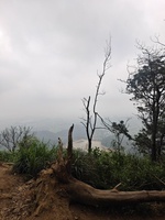Quang Khải