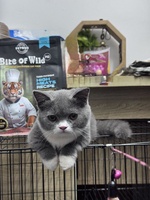 Nguyễn Hữu Dương