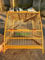 khương dương