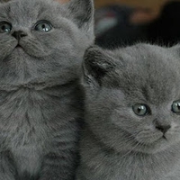 Huân Nguyễn Quốc