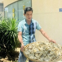 Yến Dana Nest