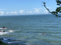 Chí Bảo