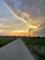 Nguyễn Viết Hiếu