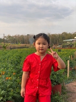 Hứa Hồng Hảo