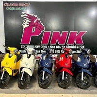 Xe Điện Pink Tân Phú