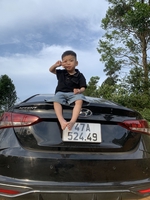võ gia phát