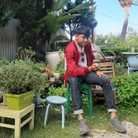 Trình Phương