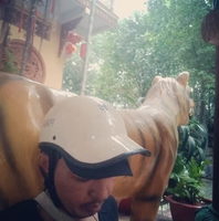 Hải