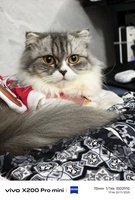 AM