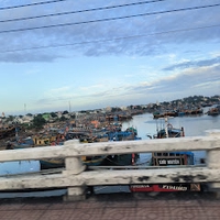 Sơn Anh