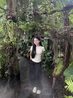 Trieu Vy Duong
