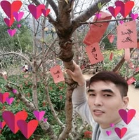 Trần Hữu Dụng