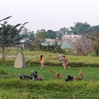 Trung Nguyên