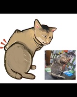 Bình Lê
