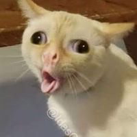 Nguyễn Tuấn Điệp