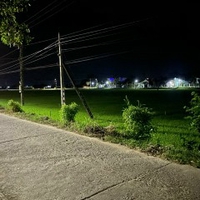 Trương Thanh Tùng