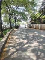 Uyển Nhã