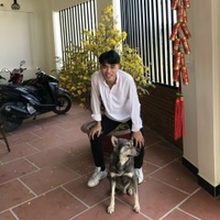 Thiều Đại Dũng