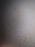 Mậpởbmtnèe
