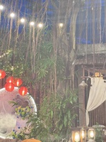 Phương Đinh