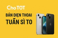 tuấn sì to