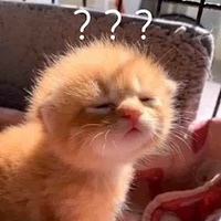 Ánh Phạm Ngọc