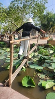 Thư Lee
