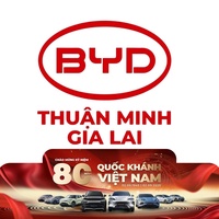 Quang Tú BYD Gia Lai
