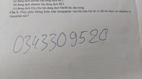 Đào Đức