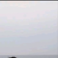 Bảo Tr