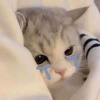 Vũ Phương Uyên Trịnh