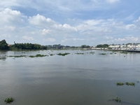 Nguyễn Vũ