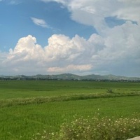 Phương Anh