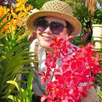 Nguyễn Hồng Minh