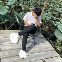 Tr HoànggHộii
