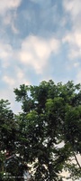 Trải nghiệm