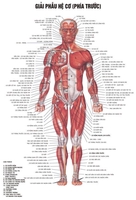 Thị trấn ái nghĩa