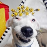 BK Nguyễn Quyết Tiến