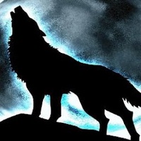 Nguyễn Đỗ Nhật Tân 