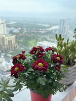 Hiền